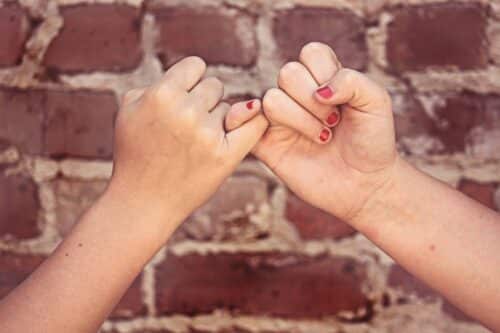 Pinky-swear-g3c6d20369_1280