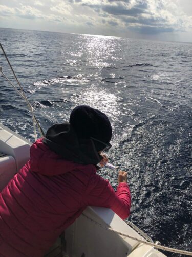 Konzervování vzpomínek