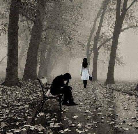 Obrázek whatsapp, 2025-10-27 v 21.12.04_ed3fb2db