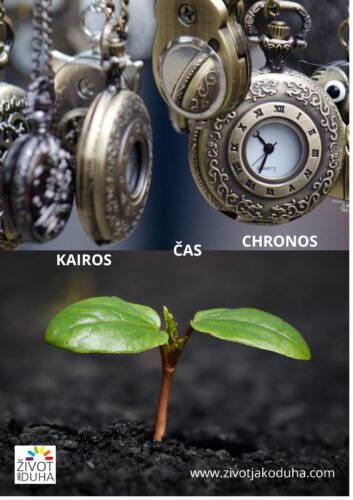 Yellow and white illustrated donation opportunities poster (2)