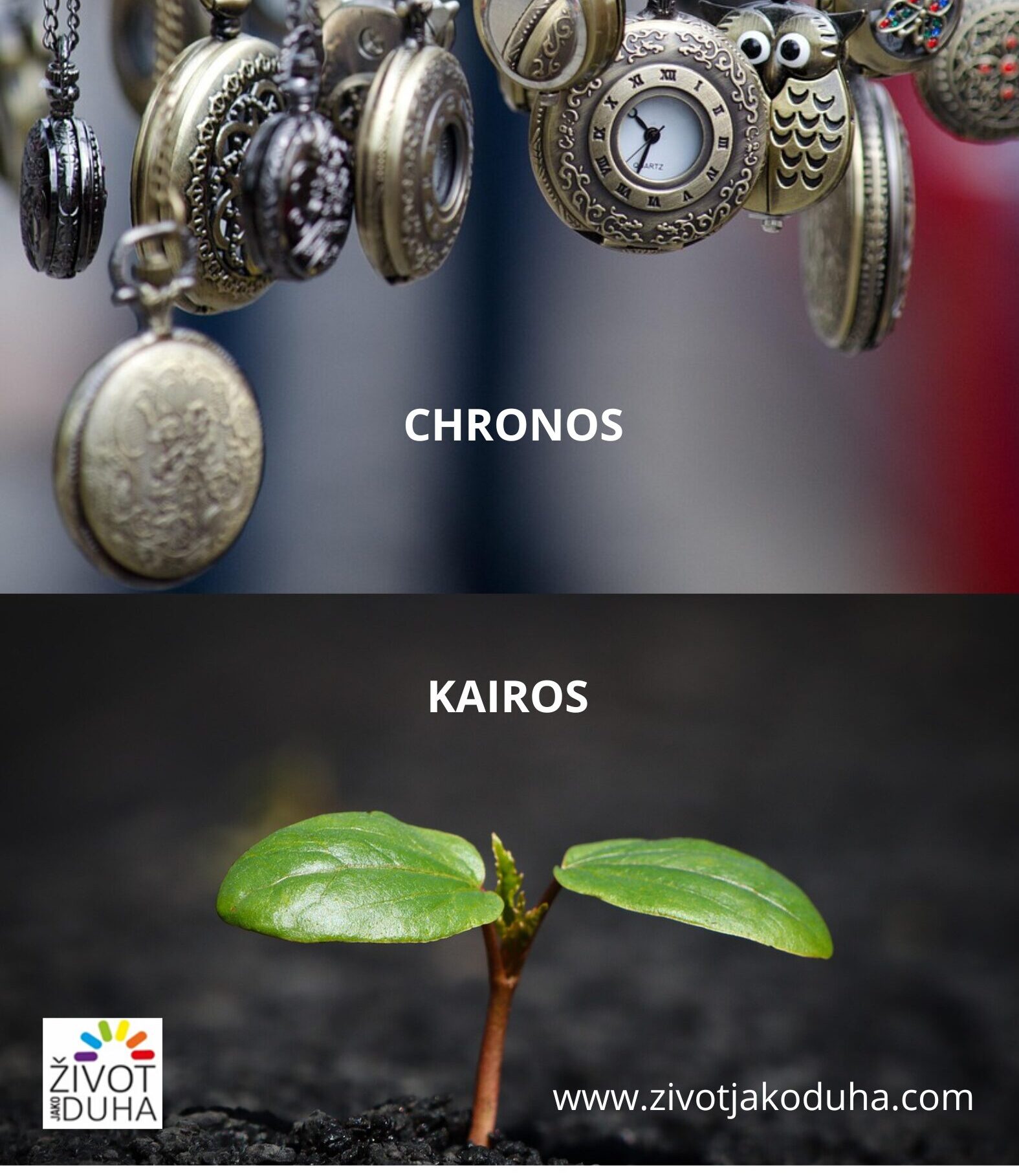 Yellow and white illustrated donation opportunities poster