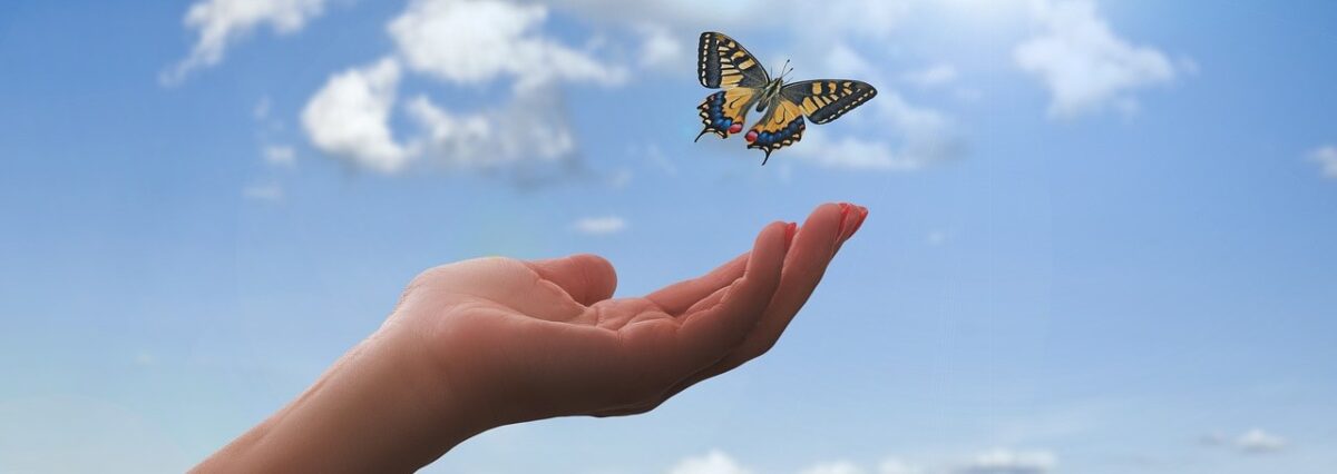 Hand-g25a92133d_1280