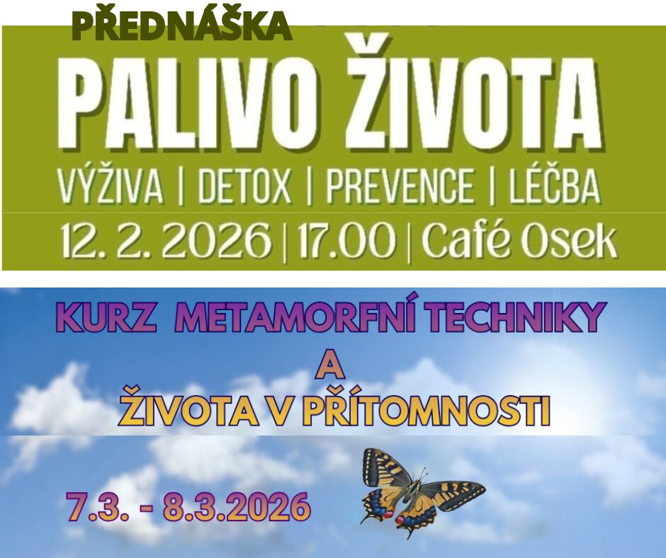 Kopie návrhu modrý fotka sukulentu kosmetika a péče o pleť post na facebook (3)